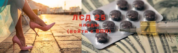 ГАЛЛЮЦИНОГЕННЫЕ ГРИБЫ Пересвет