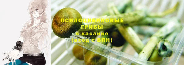 твердый Покров
