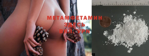 ГАЛЛЮЦИНОГЕННЫЕ ГРИБЫ Пересвет