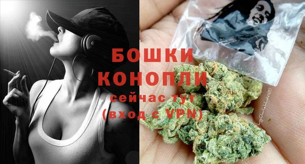 ГАЛЛЮЦИНОГЕННЫЕ ГРИБЫ Пересвет