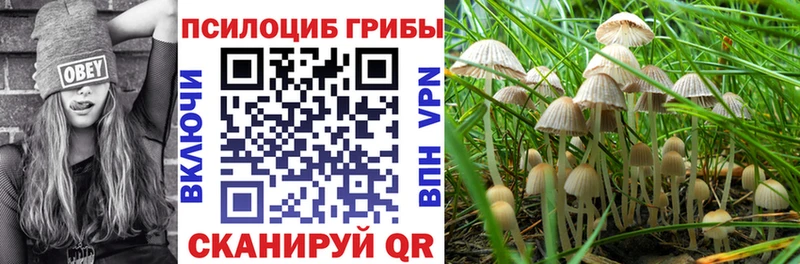 Псилоцибиновые грибы Psilocybe Асбест