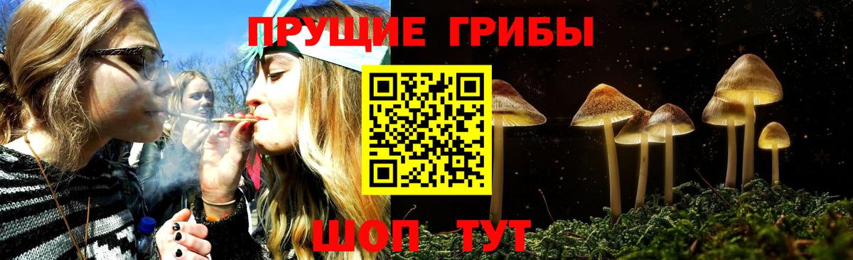 Асбест  Галлюциногенные грибы Psilocybine cubensis  Вход с VPN  Псилоцибиновые грибы мухоморы 
